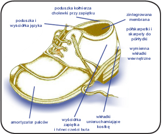 FOOTWEAR COMPONENTS
